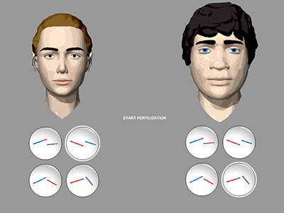 Example of working through a simulation