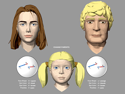 Example of simulation result