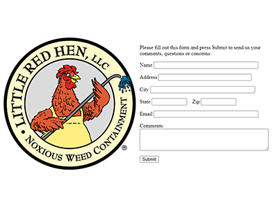 Example of the contact us page