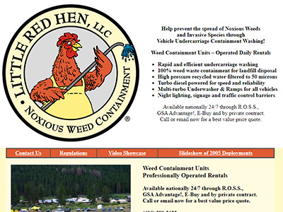 Example of homepage of website