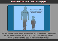 Guide To New Regulations App